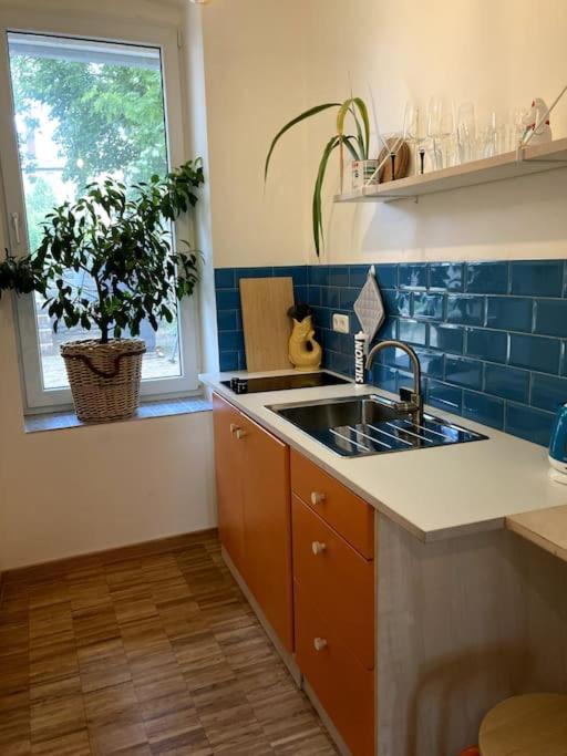 Little Fine Apartment Close To Leipzig Zeitz Eksteriør billede